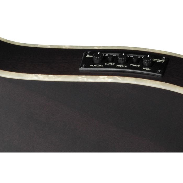 Класична гітара IBANEZ TOD10N-TKF