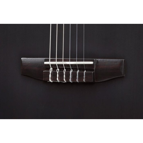 Класична гітара IBANEZ TOD10N-TKF