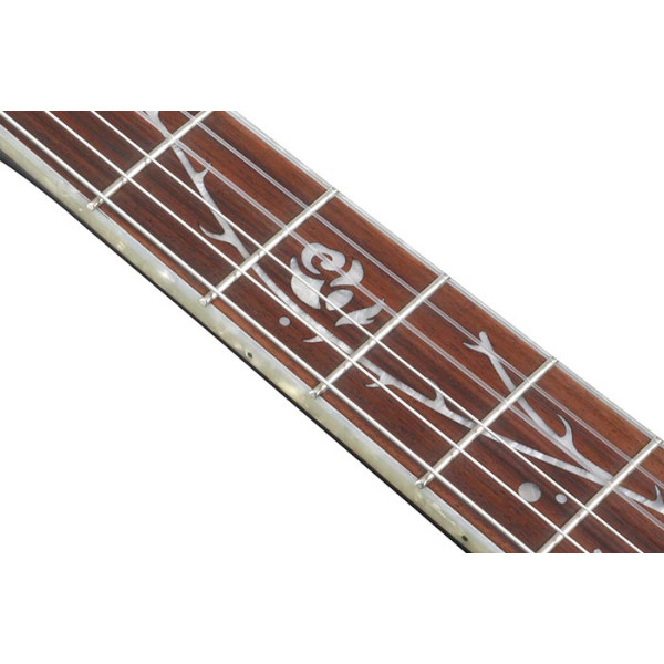 Класична гітара IBANEZ TOD10N-TKF