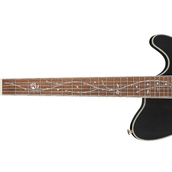 Класична гітара IBANEZ TOD10N-TKF