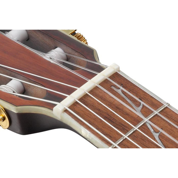 Класична гітара IBANEZ TOD10N-TKF