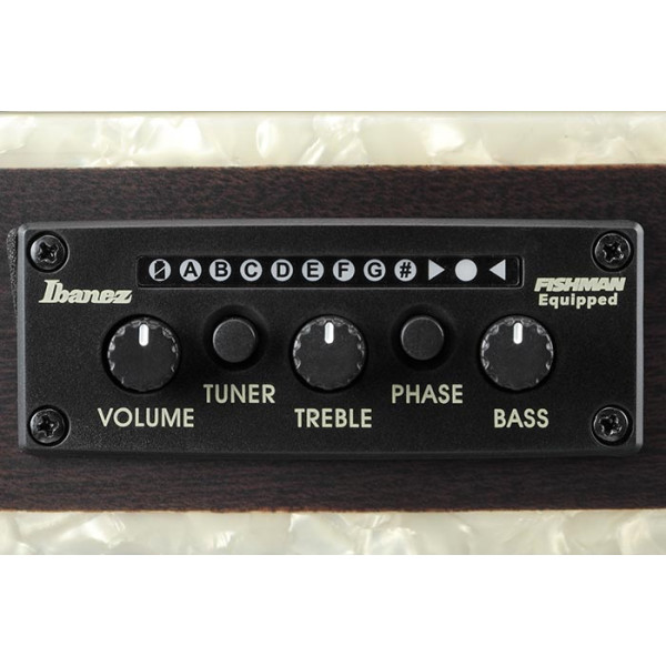 Класична гітара IBANEZ TOD10N-TKF
