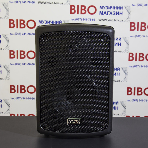Інсталяційна акустика SOUNDKING FP208
