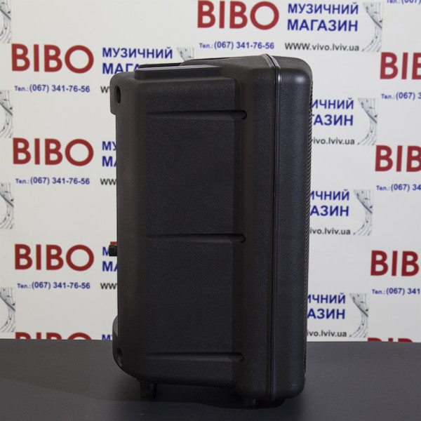 Інсталяційна акустика SOUNDKING FP208