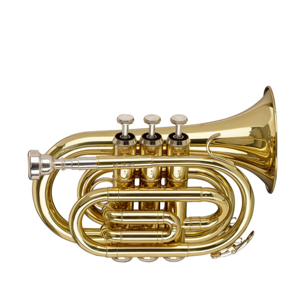 Труба STAGG WS-TR245S