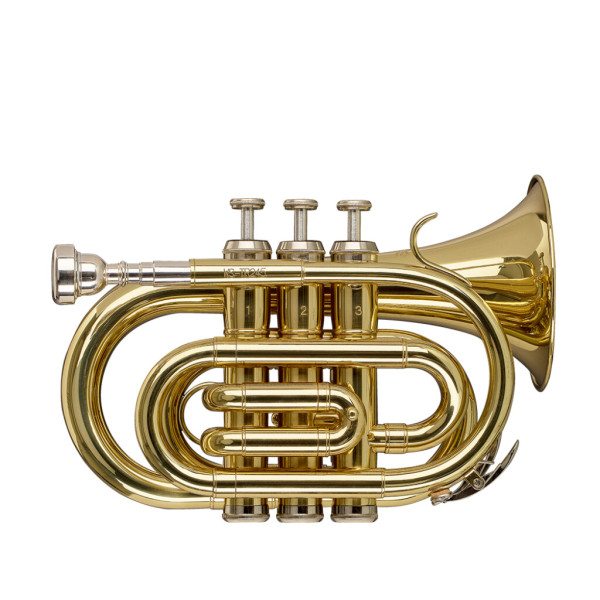 Труба STAGG WS-TR245S