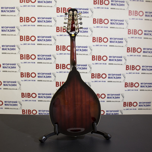 Мандоліна електроакустична STAGG M50 E